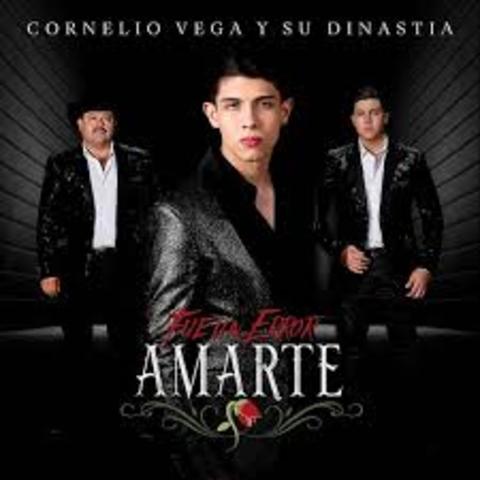 " fue un error amarte"