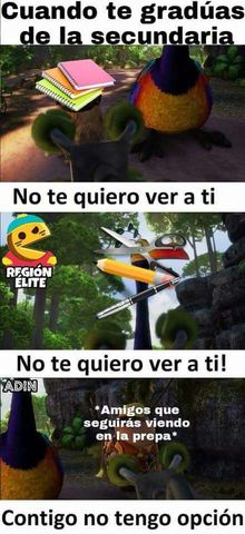 The end in the high school middleschool