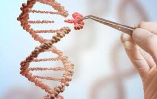 Primer tratamiento de terapia génica exitoso.