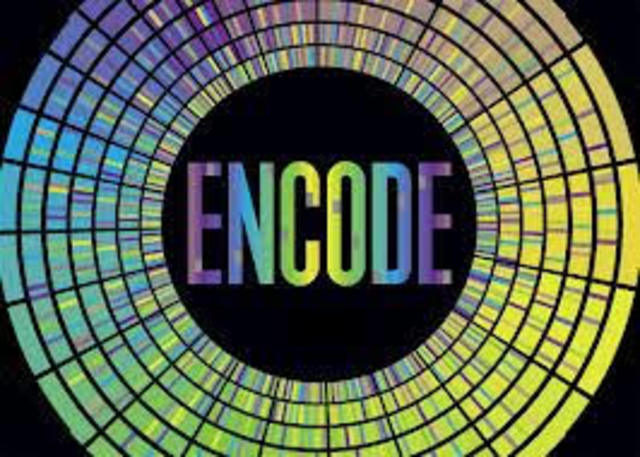 Proyecto ENCODE
