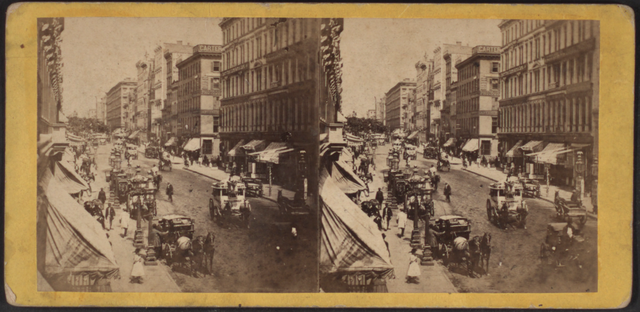 The Stereograph
