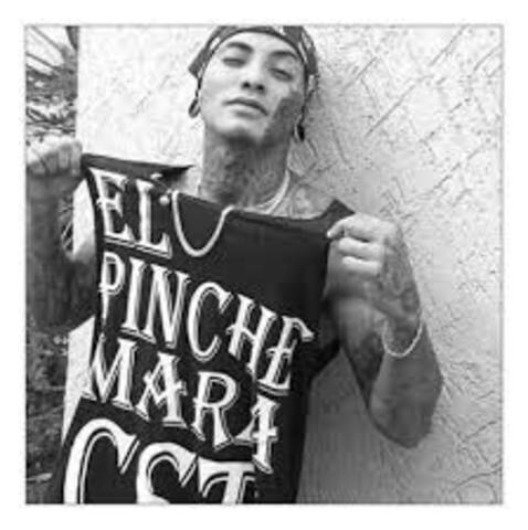 CONTESTA A UNA PREGUNTA MUY IMPORTANTE X SU NUEVO DISCO