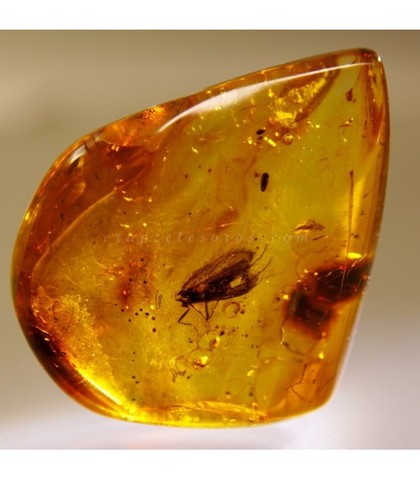 Antecedentes de los Plasticos