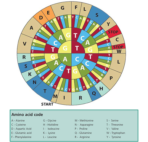 Codigo genetico-dogma central de la biologia molecular