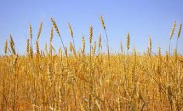 Ciclos económicos de Moore