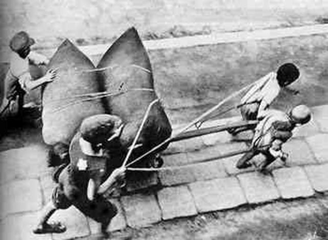 EDADES QUE DEFINEN CUANDO SON  ADULTOS