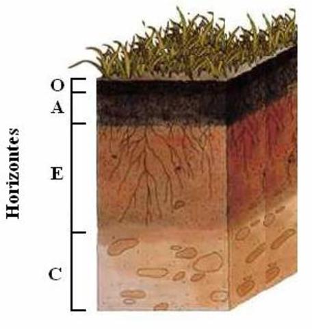Empédocles y Aristóteles
