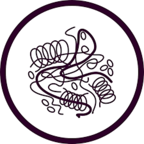 Aislamiento de la primera enzima pura.