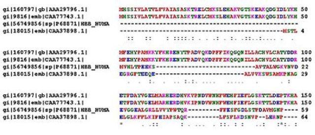 La Era de la Bioinformática