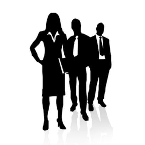 Experiencia Profesional