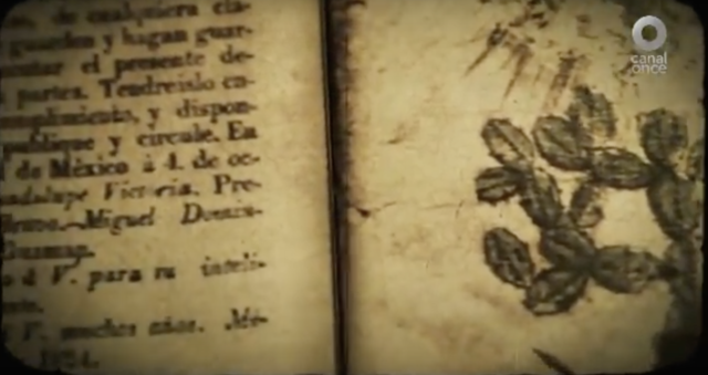 Promulgación del acta constitutiva de la Nación Mexicana