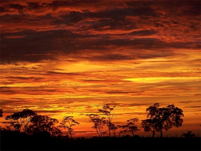 Reconocimiento edafológico de los Llanos Orientales de Colombia