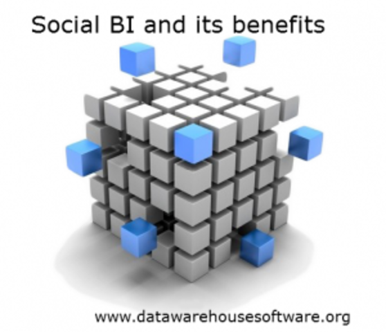 Se crea el concepto Social BI