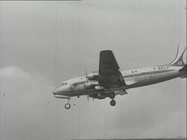 Recolección de Animales