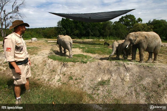 Nominación IAPPA / concurso Brass Ring Awards