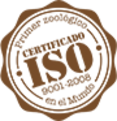 Certificado de Calidad