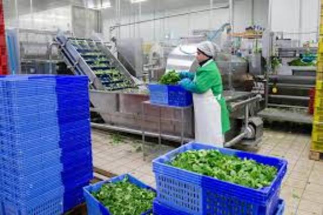 Miguel Avila Camacho (1940-1946)