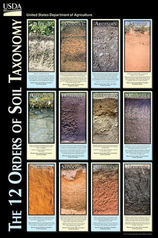 Soil Taxonomy