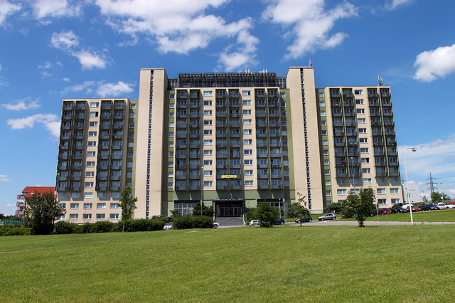 Estudios universitarios