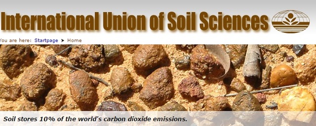 Creación de la IUSS