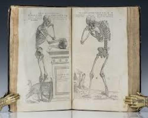 Vesalio