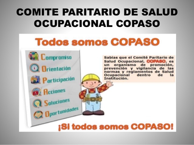 COMITÉ PARITARIO DE SALUD OCUPACIONAL