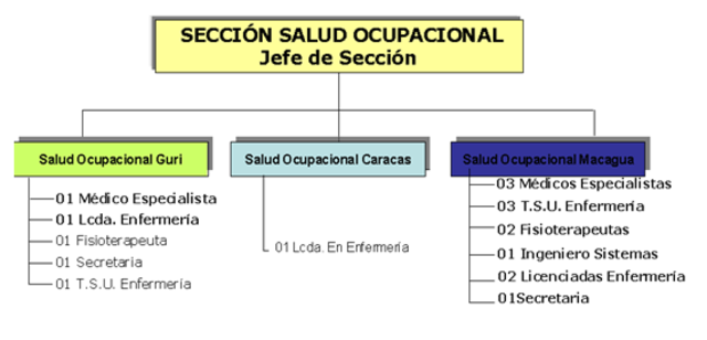 CREACIÓN DEL DEPARTAMENTO DE SALUD OCUPACIONAL