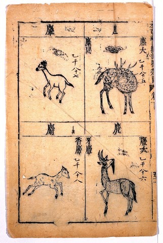 Compendio Pen tsao kang-mou