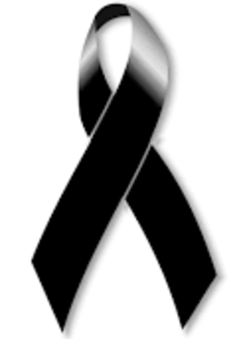 Perdida de mi hermano menor