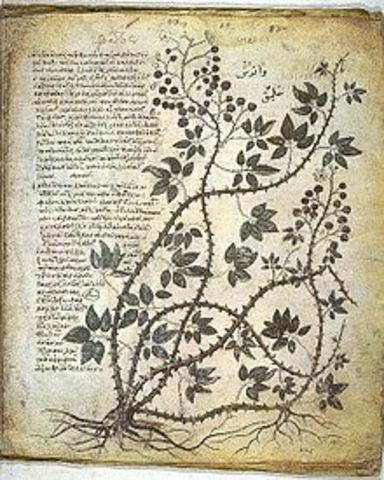 Aportaciones de Dioscórides