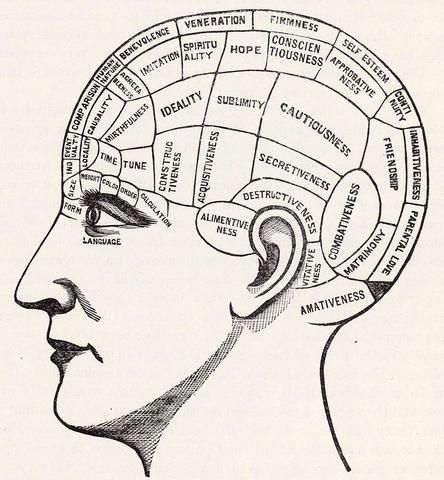 Phrenology Origins