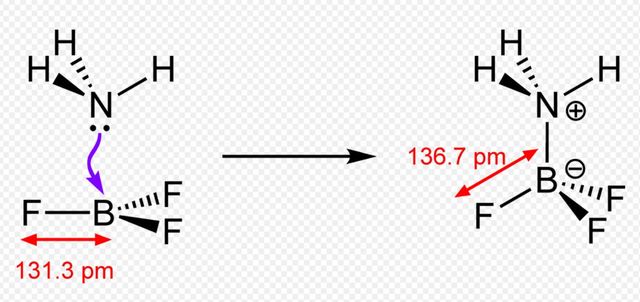 Lewis syrer og baser