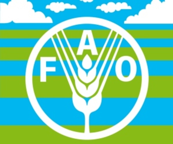 Sistema FAO