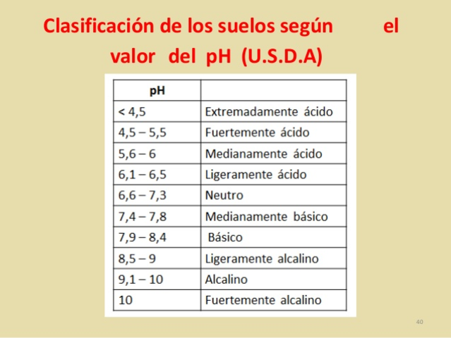 Se establecieron las reacciones del suelo