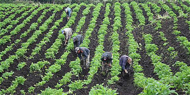 Se establecen diferentes usos del suelo