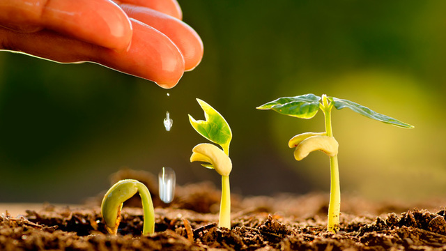 Emprendimiento Social