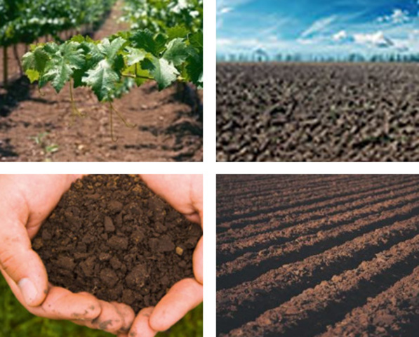 Decreto 2811 de 1974 parte VII