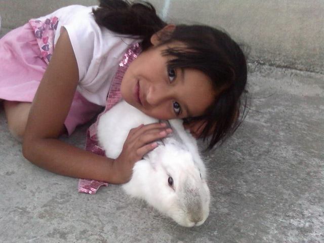 My rabbit's birthday