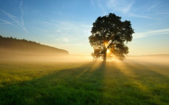 INICIOS DEL SOTFWARE