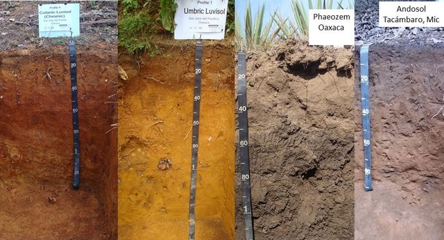 Taxonomía de Suelos