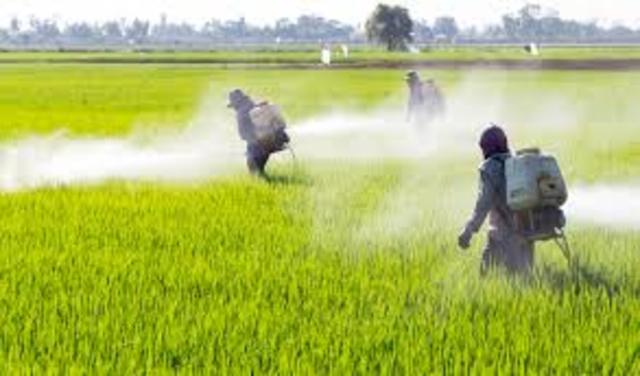 Prevención y control de la contaminación