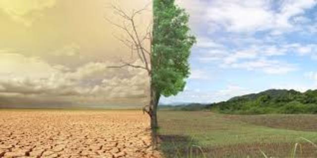 Año Nacional de los Suelos