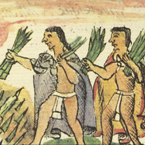 Encontrar y Fabricar