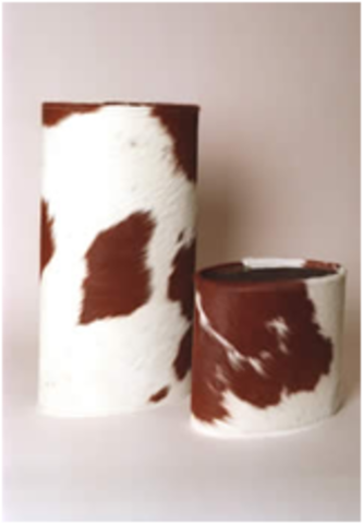 Diseño for Export | Sylvia Fiedler