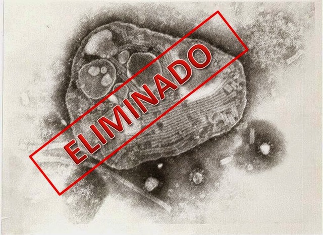LA VIRUELA SE ERRADICA OFICIALMENTE
