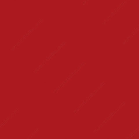 Fin de la Guerra Civil. Gobierno de Franco.