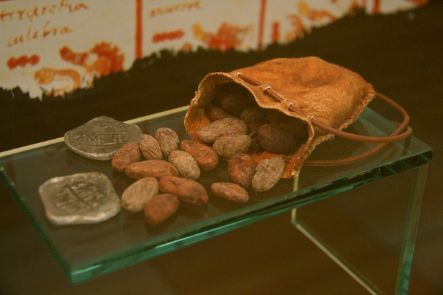Conchas y Cacao