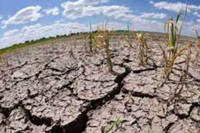 Procesos de degradación.