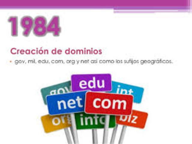 1984 Creación de los Dominios.