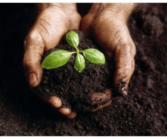 Ciencia del suelo (ISSS)